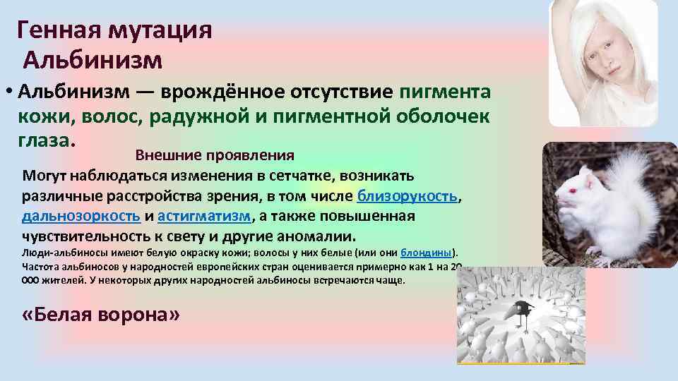 Генная мутация Альбинизм • Альбинизм — врождённое отсутствие пигмента кожи, волос, радужной и пигментной