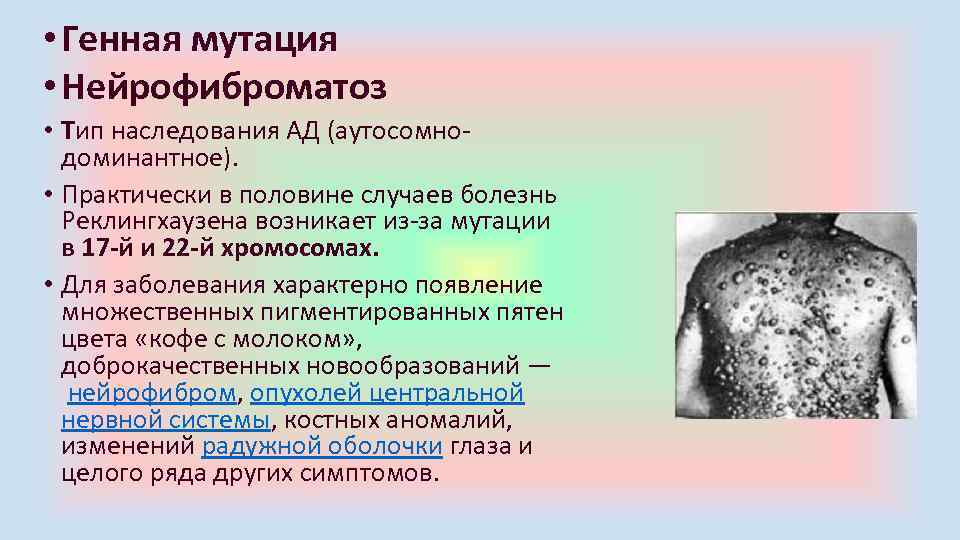  • Генная мутация • Нейрофиброматоз • Тип наследования АД (аутосомно доминантное). • Практически