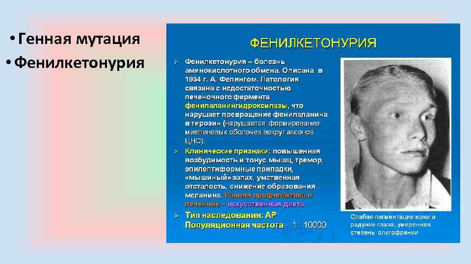  • Генная мутация • Фенилкетонурия 