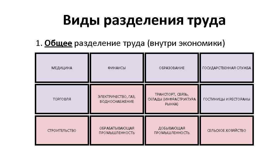 Виды разделения труда 1. Общее разделение труда (внутри экономики) МЕДИЦИНА ФИНАНСЫ ОБРАЗОВАНИЕ ГОСУДАРСТВЕННАЯ СЛУЖБА