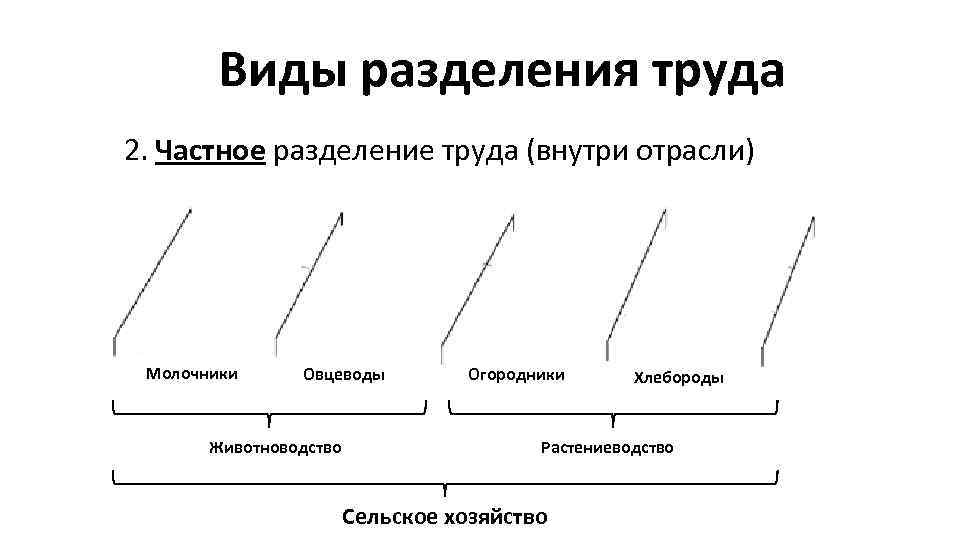 Виды разделения труда 2. Частное разделение труда (внутри отрасли) Молочники Овцеводы Животноводство Огородники Хлебороды