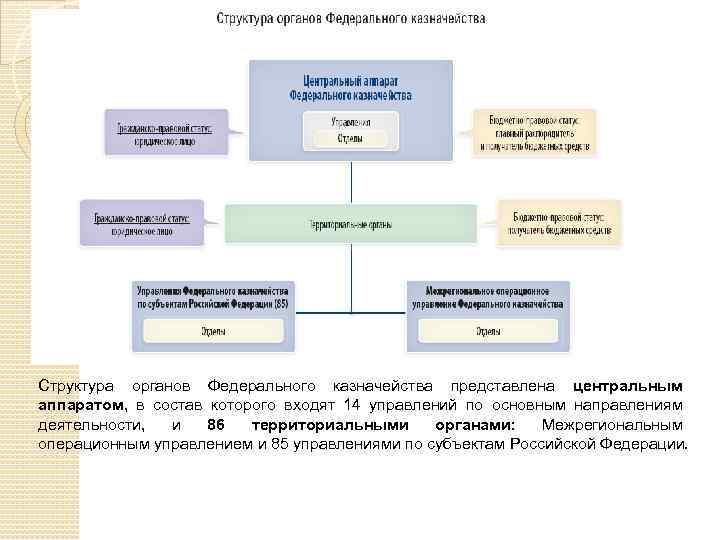 Структура органов Федерального казначейства представлена центральным аппаратом, в состав которого входят 14 управлений по