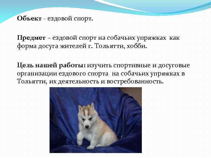 Объект - ездовой спорт. Предмет – ездовой спорт на собачьих упряжках как форма досуга