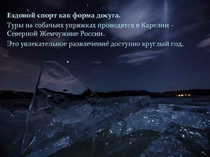 Ездовой спорт как форма досуга. Туры на собачьих упряжках проводятся в Карелии – Северной
