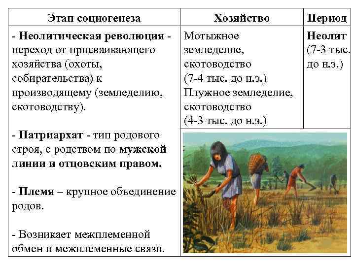 Древнейшая стадия истории. Переход от собирательства и охоты к земледелию и скотоводству. Стадии социогенеза. Основные этапы социогенеза. Социогенез этапы.