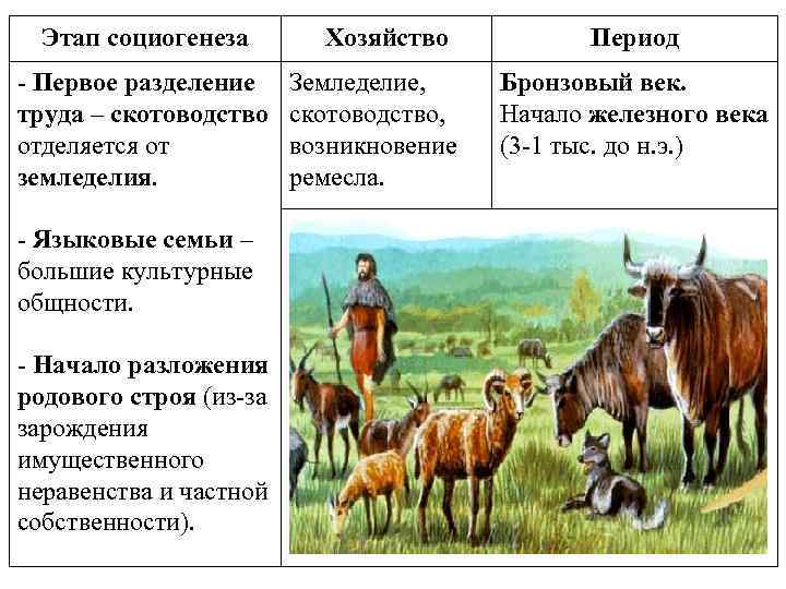 Социогенез. Этапы социогенеза. Этапы Антропогенез социогенез политогенез. Теории социогенеза в исторической науке. Трудовая теория социогенеза.