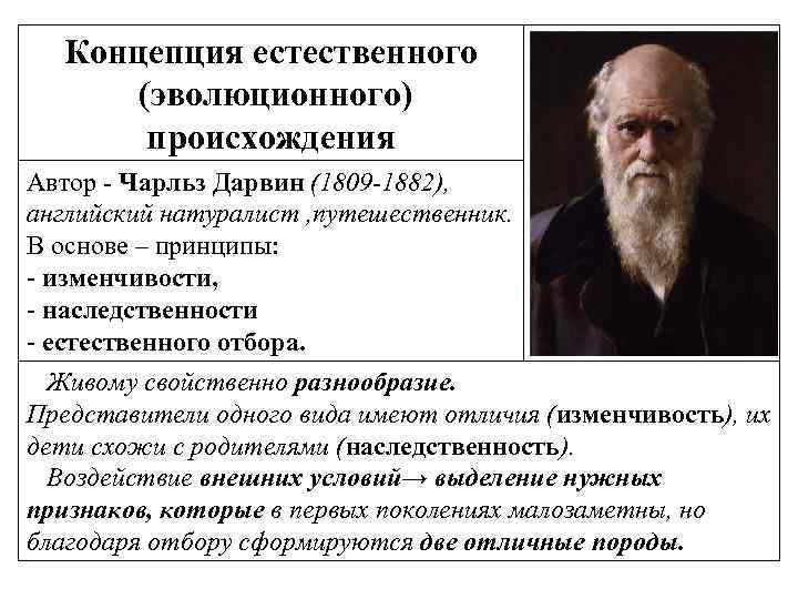 Концепция естественного (эволюционного) происхождения Автор - Чарльз Дарвин (1809 -1882), английский натуралист , путешественник.