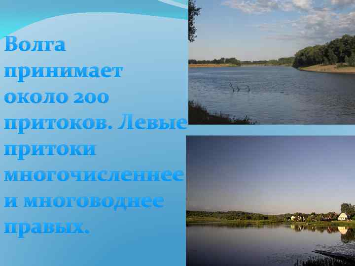 Левый приток волги. Притоки Волги. Левые притоки реки Волга. Притоки Волги в Саратовской области. Самый большой приток Волги.