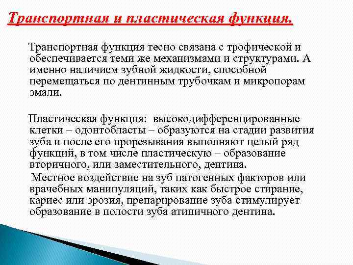 Транспортная и пластическая функция. Транспортная функция тесно связана с трофической и обеспечивается теми же