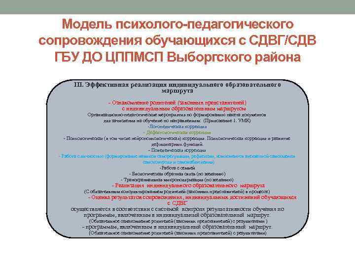 Модель психолого-педагогического сопровождения обучающихся с СДВГ/СДВ ГБУ ДО ЦППМСП Выборгского района III. Эффективная реализация