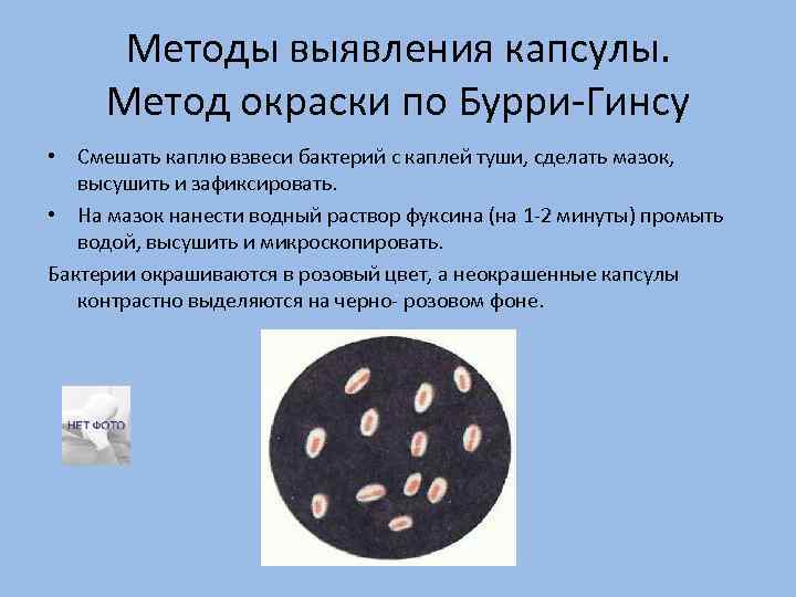 Методы выявления капсулы. Метод окраски по Бурри-Гинсу • Смешать каплю взвеси бактерий с каплей