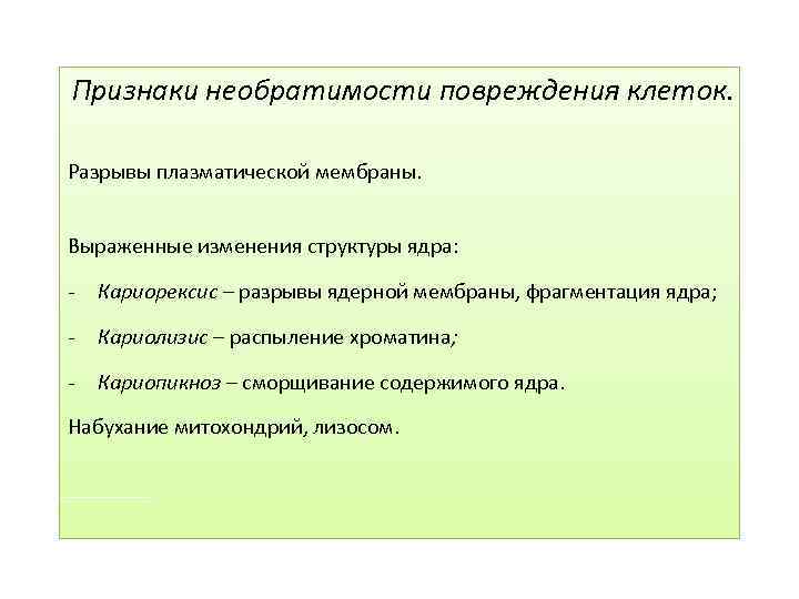 Признаки необратимости повреждения клеток. Разрывы плазматической мембраны. Выраженные изменения структуры ядра: - Кариорексис –