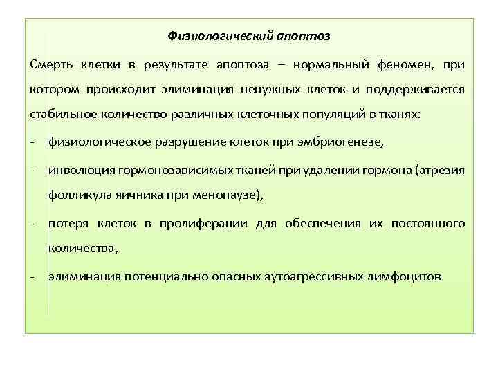Физиологический апоптоз Смерть клетки в результате апоптоза – нормальный феномен, при котором происходит элиминация