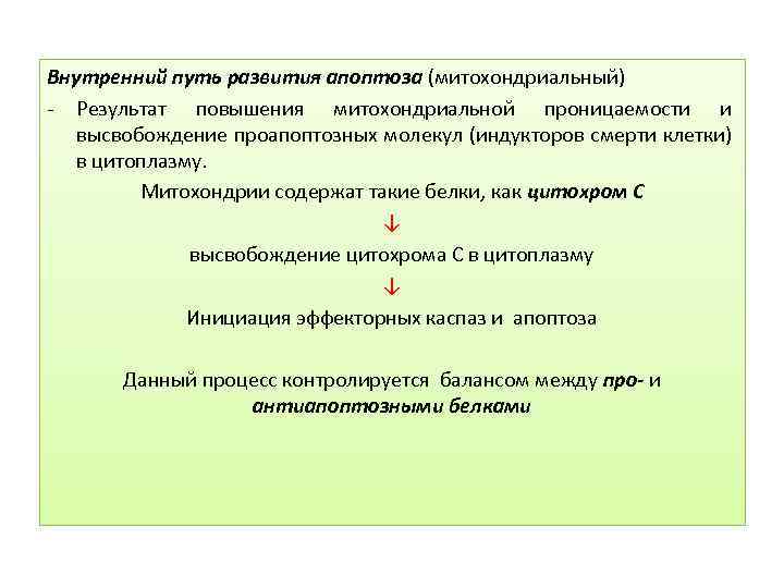 Внутренний путь развития апоптоза (митохондриальный) - Результат повышения митохондриальной проницаемости и высвобождение проапоптозных молекул