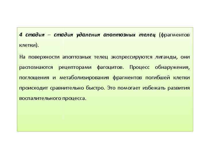 4 стадия – стадия удаления апоптозных телец (фрагментов клетки). На поверхности апоптозных телец экспрессируются