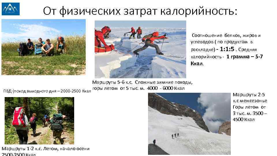От физических затрат калорийность: Соотношение белков, жиров и углеводов ( по продуктам в раскладке)