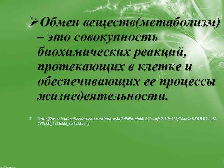 ØОбмен веществ(метаболизм) – это совокупность биохимических реакций, протекающих в клетке и обеспечивающих ее процессы