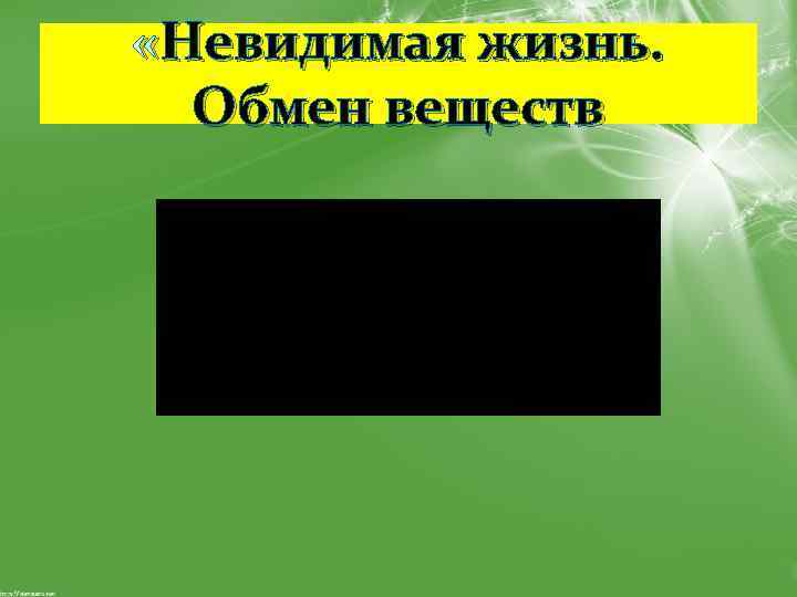  «Невидимая жизнь. Обмен веществ 