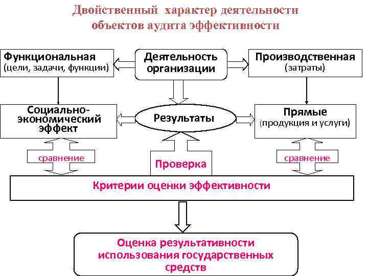 Двойственный характер деятельности объектов аудита эффективности Функциональная Деятельность организации Социально экономический эффект Результаты (цели,