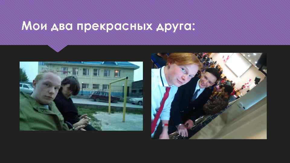 Мои два прекрасных друга: 