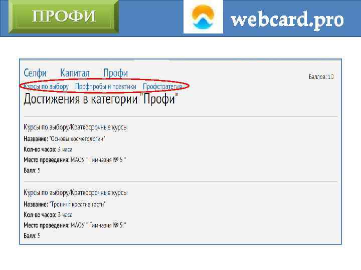 ПРОФИ webcard. pro 
