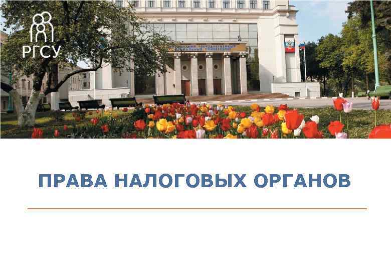 ПРАВА НАЛОГОВЫХ ОРГАНОВ 