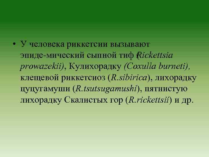  • У человека риккетсии вызывают эпиде мический сыпной тиф ( ickettsia R prowazekii),
