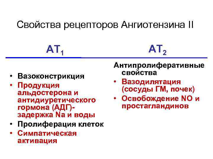 Свойства рецепторов Ангиотензина II AT 1 • Вазоконстрикция • Продукция альдостерона и антидиуретического гормона