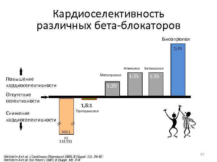 Кардиоселективность различных бета-блокаторов Бисопролол 1: 75 Атенолол Метопролол Повышение кардиоселективности 1: 35 Бетаксолол 1: