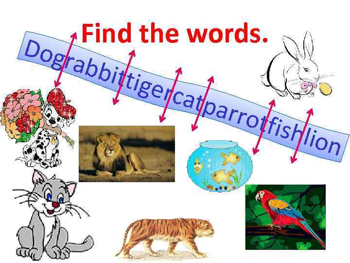 Dogr Find the words. abbi ttige r catp arro tfish lion 