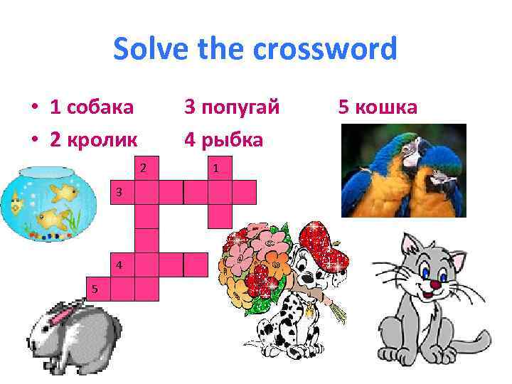 Solve the crossword • 1 собака • 2 кролик 3 попугай 4 рыбка 2