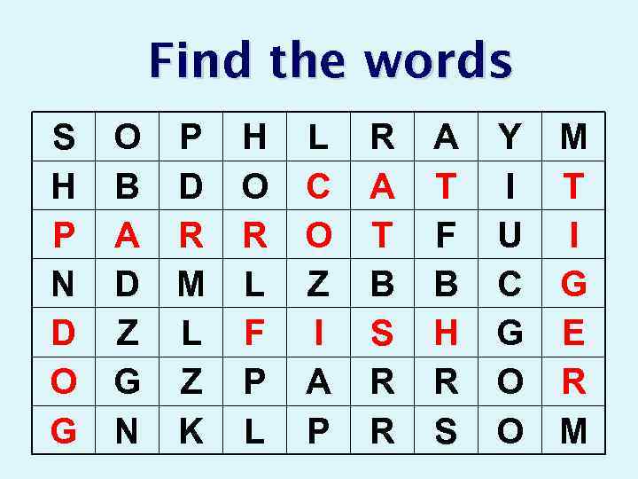 Find the words S H P N D O G O P H B