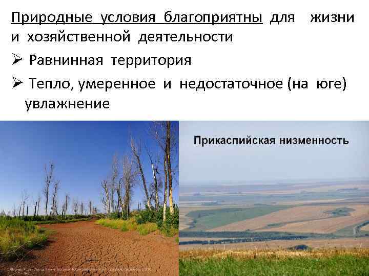 Характер природных условий. Поволжье природные условия района. Благоприятные природные условия. Природные условия Поволжья кратко. Природные условия Поволжского экономического района.