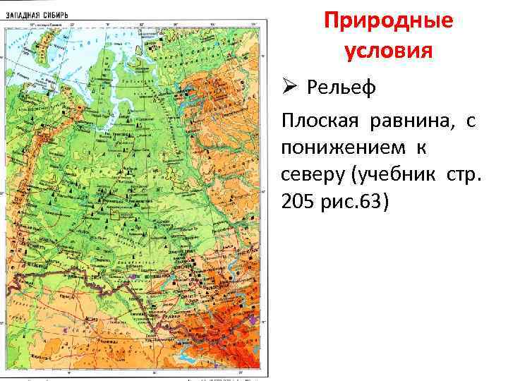 Природные условия Ø Рельеф Плоская равнина, с понижением к северу (учебник стр. 205 рис.