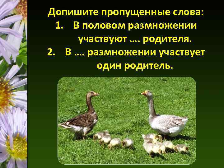 Допишите пропущенные слова: 1. В половом размножении участвуют …. родителя. 2. В …. размножении