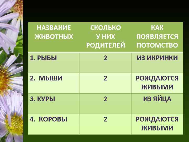 НАЗВАНИЕ ЖИВОТНЫХ СКОЛЬКО У НИХ РОДИТЕЛЕЙ КАК ПОЯВЛЯЕТСЯ ПОТОМСТВО 1. РЫБЫ 2 ИЗ ИКРИНКИ