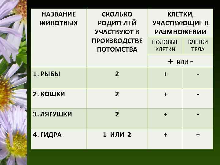 НАЗВАНИЕ ЖИВОТНЫХ СКОЛЬКО РОДИТЕЛЕЙ УЧАСТВУЮТ В ПРОИЗВОДСТВЕ ПОТОМСТВА КЛЕТКИ, УЧАСТВУЮЩИЕ В РАЗМНОЖЕНИИ ПОЛОВЫЕ КЛЕТКИ