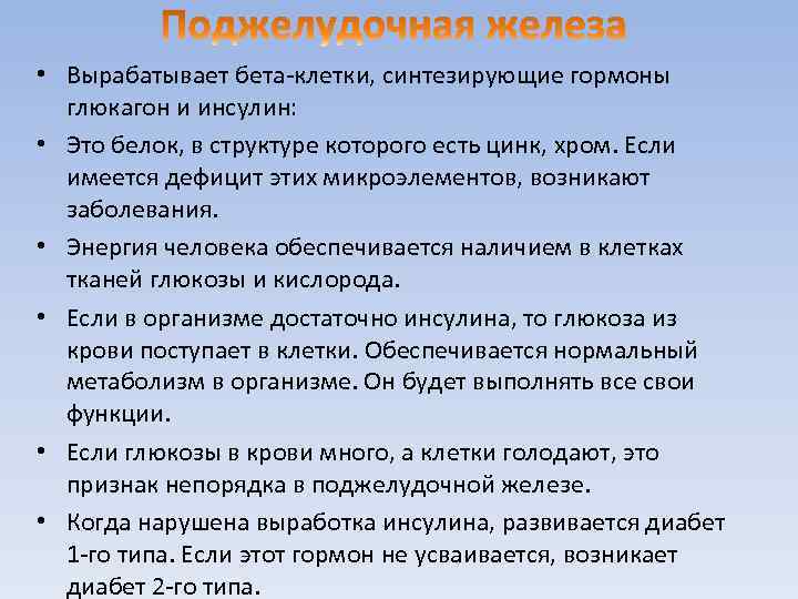  • Вырабатывает бета-клетки, синтезирующие гормоны глюкагон и инсулин: • Это белок, в структуре