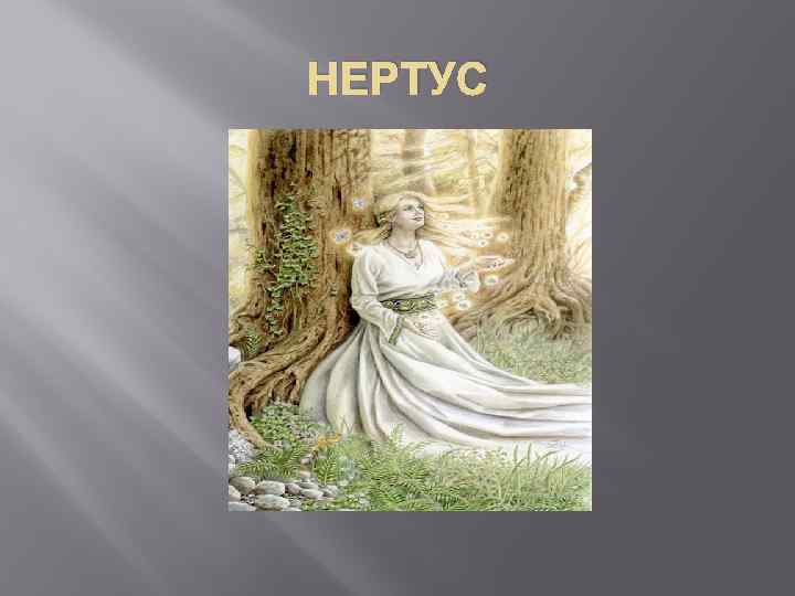 НЕРТУС 