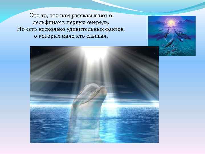 Это то, что нам рассказывают о дельфинах в первую очередь. Но есть несколько удивительных