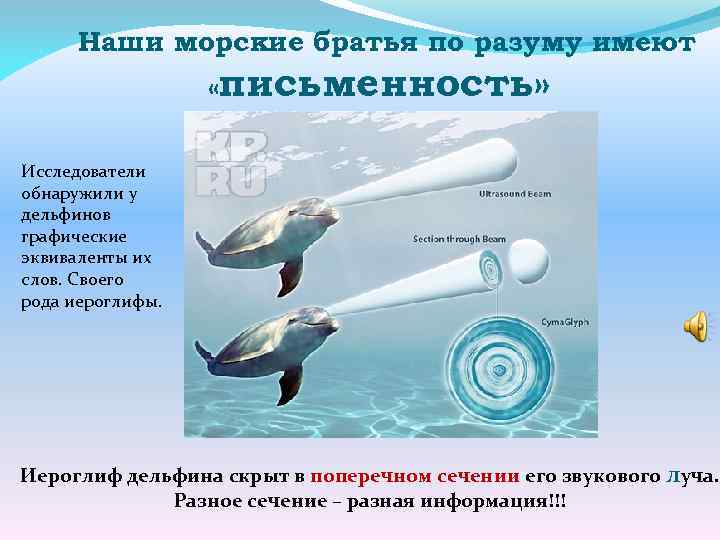 Наши морские братья по разуму имеют «письменность» Исследователи обнаружили у дельфинов графические эквиваленты их