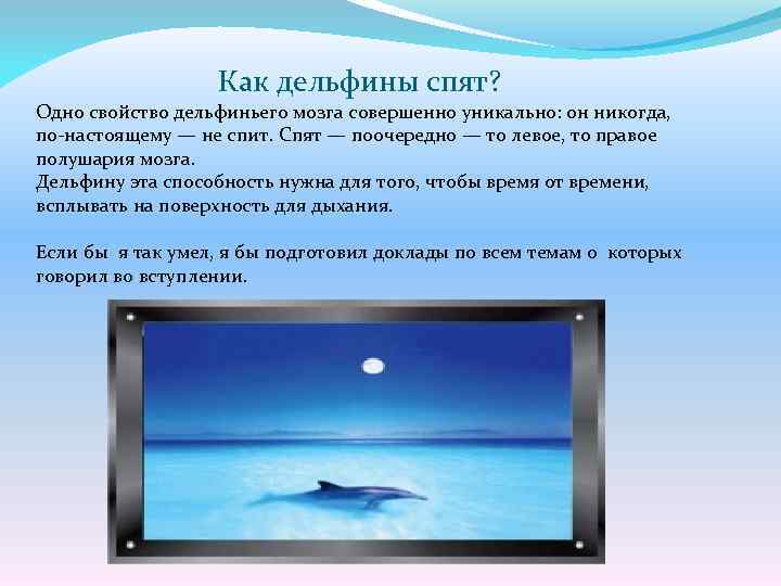 Как дельфины спят? Одно свойство дельфиньего мозга совершенно уникально: он никогда, по-настоящему — не