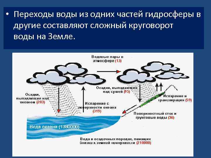 В результате перехода. Методы изучения гидросферы. Миграция радионуклидов в гидросфере. Осадочный круговорот. Водяной пар в гидросфере.