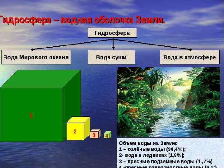 Особенности гидросферы на земле. Лава это гидросфера. Кто размножается в гидросфере. Фраза на тему гидросфера свинки.