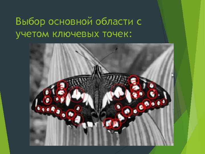 Выбор основной области c учетом ключевых точек: 