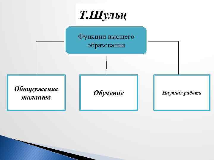 Т. Шульц Функции высшего образования Обнаружение таланта Обучение Научная работа 