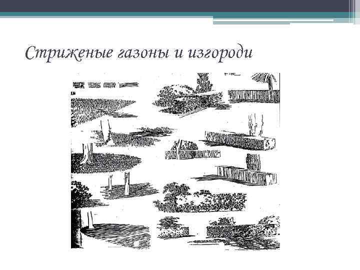 Стриженые газоны и изгороди 