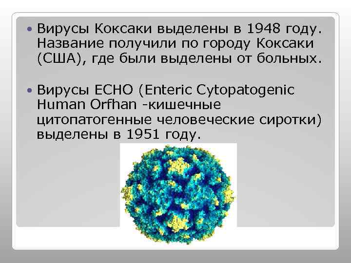 Вирус коксаки лечение. Вирусы Коксаки, энтеровирусы, есно. Вирус Коксаки антигенная структура. Есно вирус.
