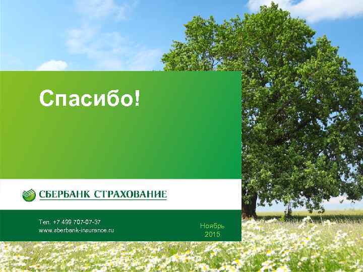 Спасибо! Тел. +7 499 707 -07 -37 www. sberbank-insurance. ru Ноябрь 2015 Октябрь 2014