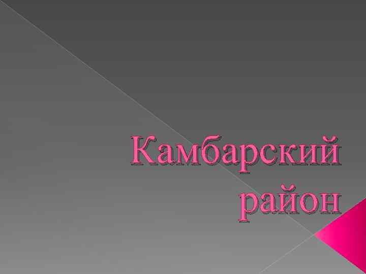 Камбарский район 